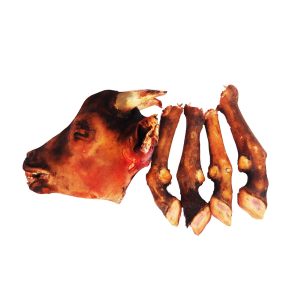 Head & Leg