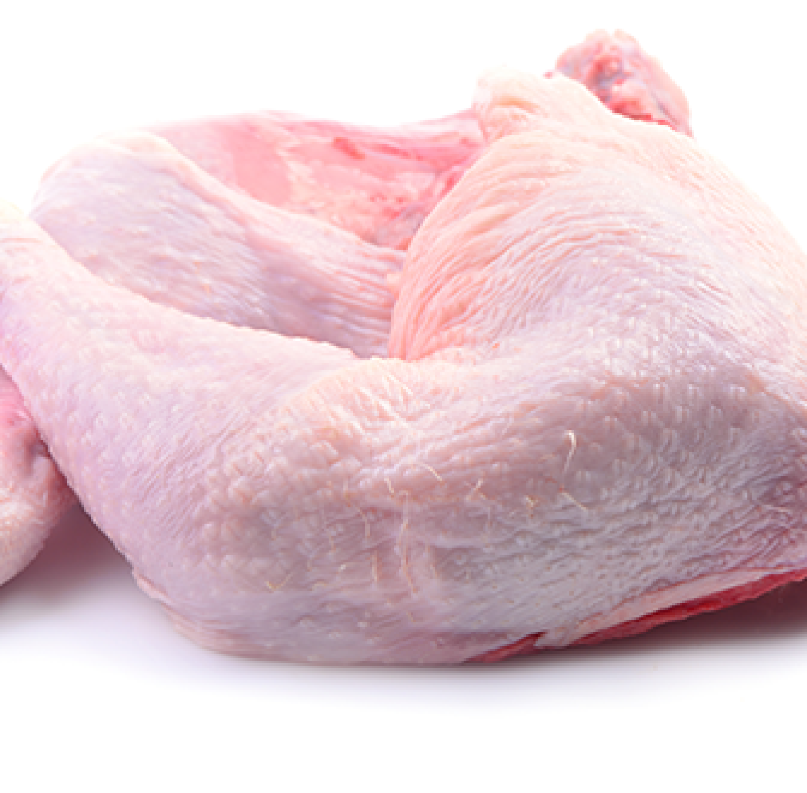 chicken_lap