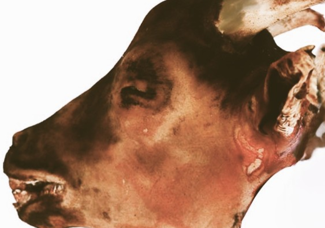 goat_head