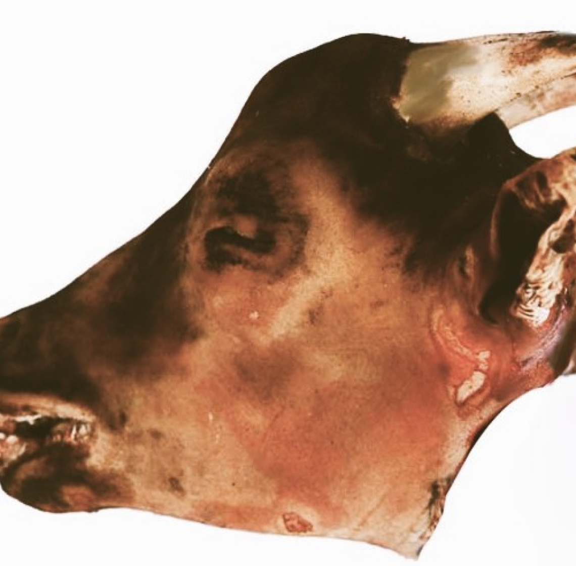 goat_head