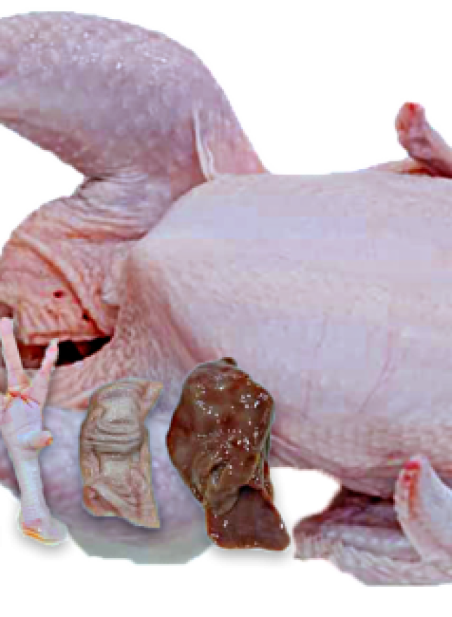 Farm Fresh Chicken