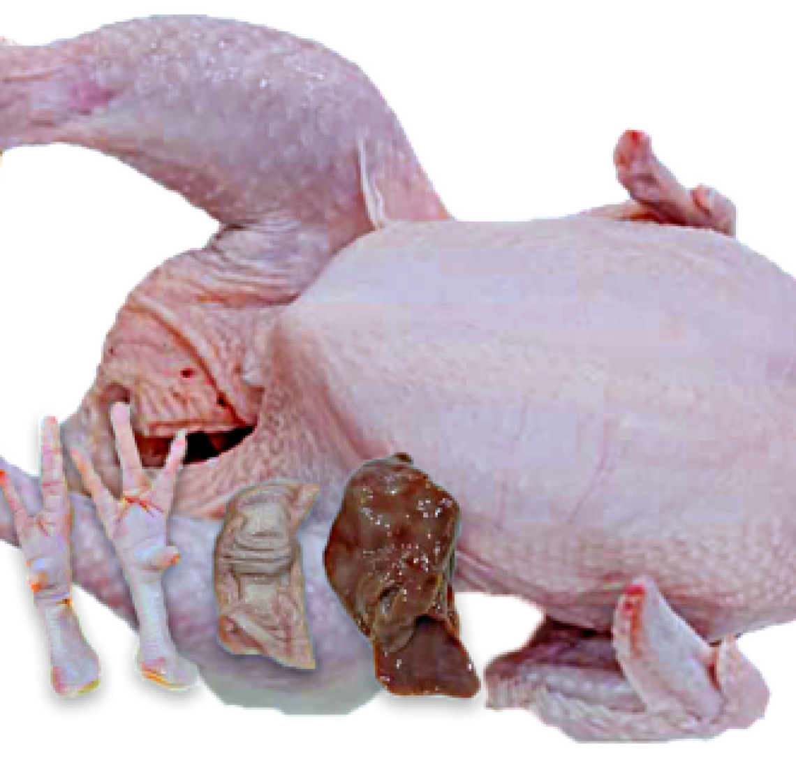 whole-chicken-standard