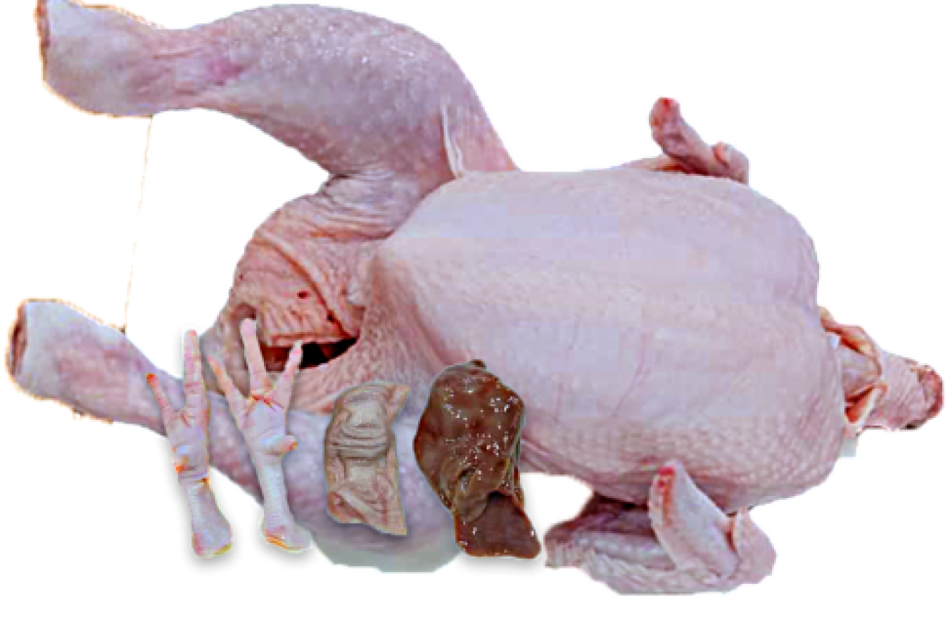 Farm Fresh Chicken